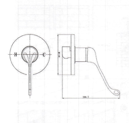 Classic Care Shower/Bath Mixer Australia Perth